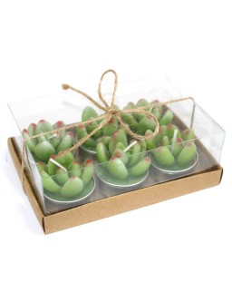 Set of 6 Cactus Candles