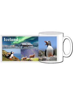 Bolli Iceland