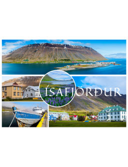 Segull Ísafjörður