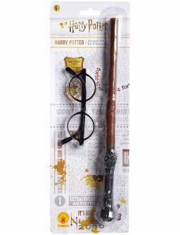 Harry Potter wand and glasses